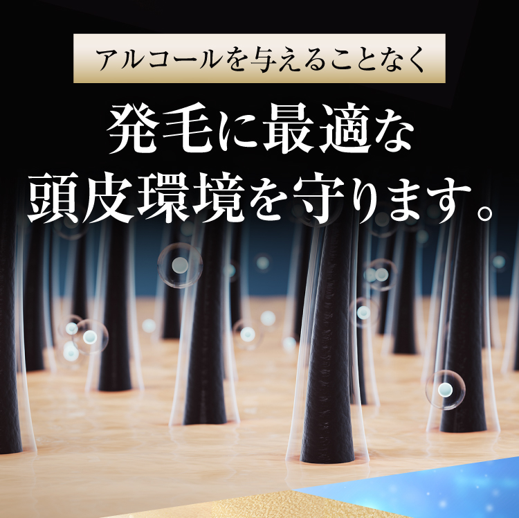 NANOSIV 公式サイトはこちら