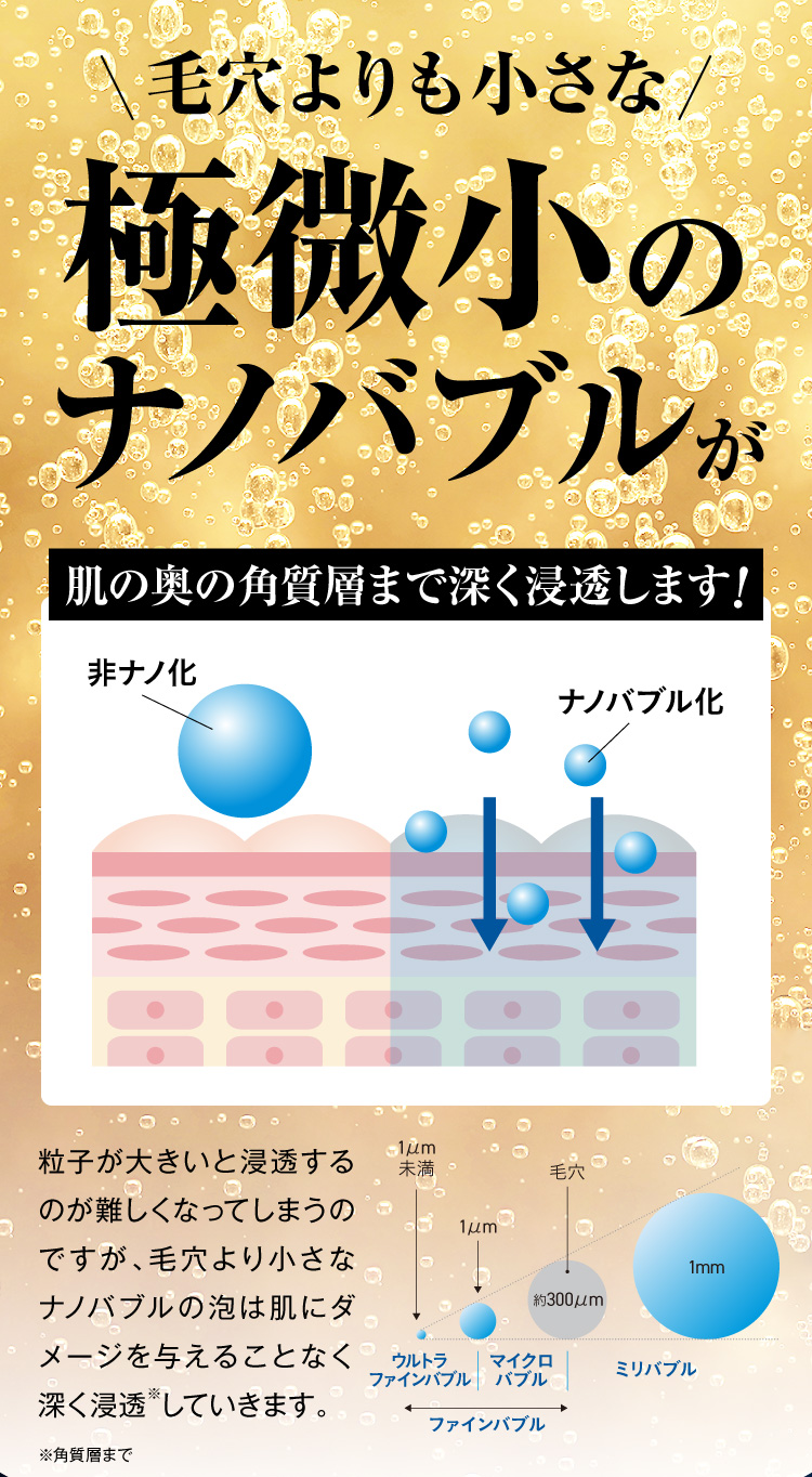 NANOSIV 公式サイトはこちら