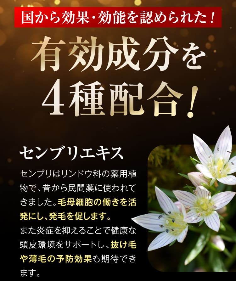 NANOSIV 公式サイトはこちら NANOSIV 公式サイトはこちら